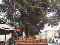 -八道本地特色菜馆(大鹏古城店)