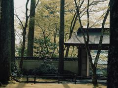 -三千院