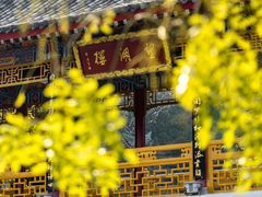 -华清宫景区
