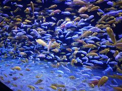 -成都浩海立方海洋公园