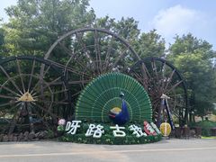 -呀路古热带植物园