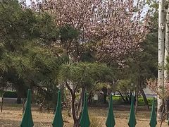 -唐山抗震纪念碑广场