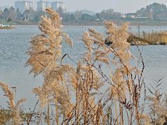 -云漫湖生态度假公园