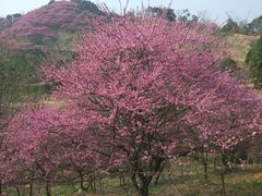 -溪口-滕头旅游景区