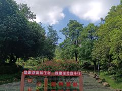 -火炉山森林公园