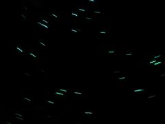 -怀托摩萤火虫洞