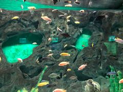 -常州海昌海洋探索馆