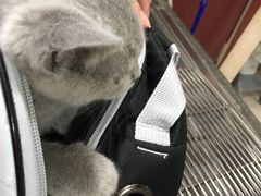 -思琪宠物医院(昆山花桥店)