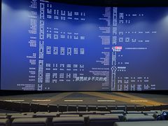 -金逸影城(大悦城IMAX激光店)