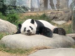 -香港海洋公园