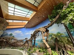 -延庆地质公园博物馆