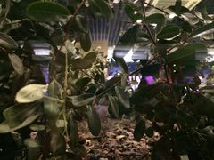 -上海昆虫博物馆