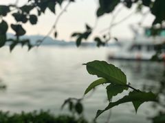 -西湖天地