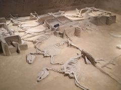 -洛阳周王城天子驾六博物馆