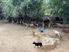 -长鹿旅游休博园