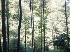 -藏龙百瀑风景区