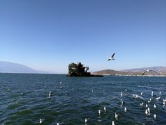 -大理洱海