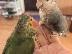 -宝岛眼镜(嘉兴桐乡时代广场店)