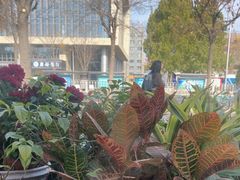 -食悦江南·淮扬菜·烤鸭(亚运村·惠新店)