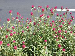 -DQ·蛋糕·冰淇淋(民勇嘉泰店)