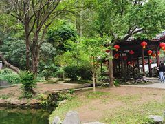 -深圳国际园林花卉博览园