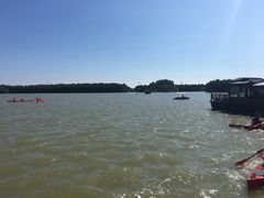 游乐设施-上海海湾国家森林公园