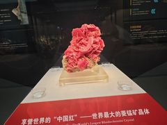 -湖南省地质博物馆