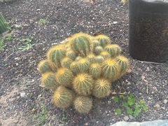 -亿利库布其七星湖沙漠生态旅游区