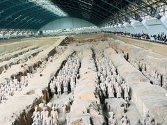 -秦始皇帝陵博物院(兵马俑)