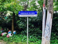 -东部华侨城