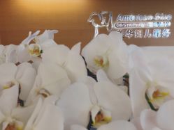 -杭州贝瑞斯美华妇儿医院·早孕·产检·儿科