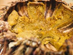 -海胆小馆(东北水饺·春柳店)