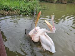 -宁波杭州湾国家湿地公园