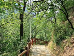 -大岭沟猕猴桃谷风景区