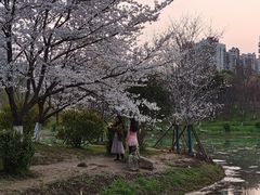 -堤角公园
