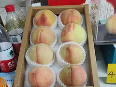 -老袁家蜜桃农场·阳山水蜜桃