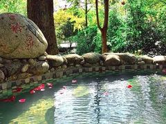 -三江森林温泉度假区