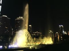 景点音乐喷泉-白鹭洲公园