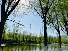 -门城湖公园