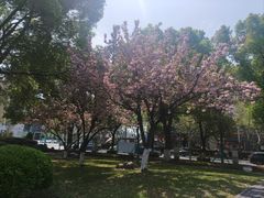 -七宝老街-闵行市民文化广场