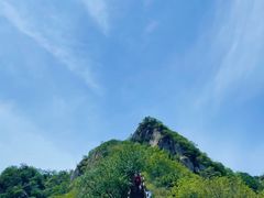 -大岭沟猕猴桃谷风景区