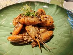 -桂满陇·海市蜃楼·黑金(国金店)