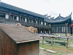 -宁波杭州湾国家湿地公园