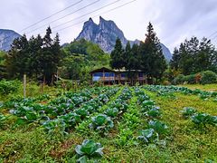 -鹿院坪生态旅游景区