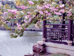 -绍兴东湖风景区