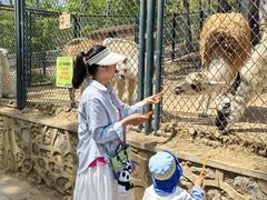 -大连森林动物园