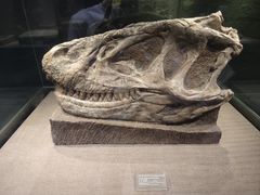 -自贡恐龙博物馆