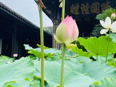 -宝光寺