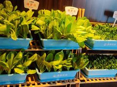 -真爱中国餐馆·年华店(朱雀大街店)