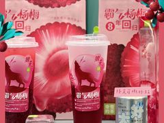霸气杨梅气泡-奈雪的茶(天河城店)